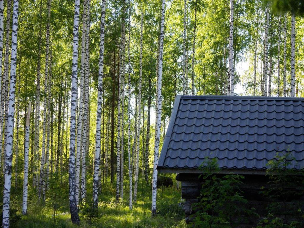 Bed and Breakfast Tarina-Aho Vuonislahti Exteriér fotografie