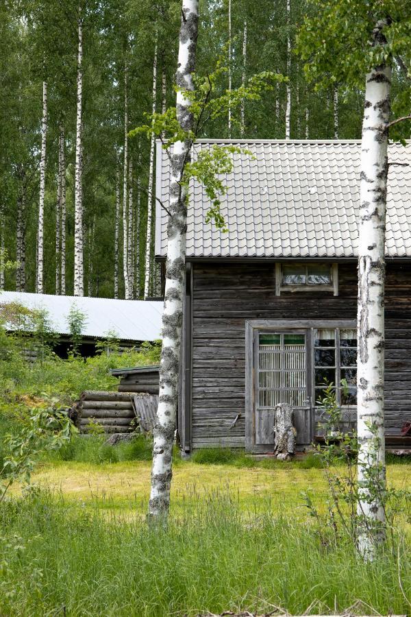 Bed and Breakfast Tarina-Aho Vuonislahti Exteriér fotografie